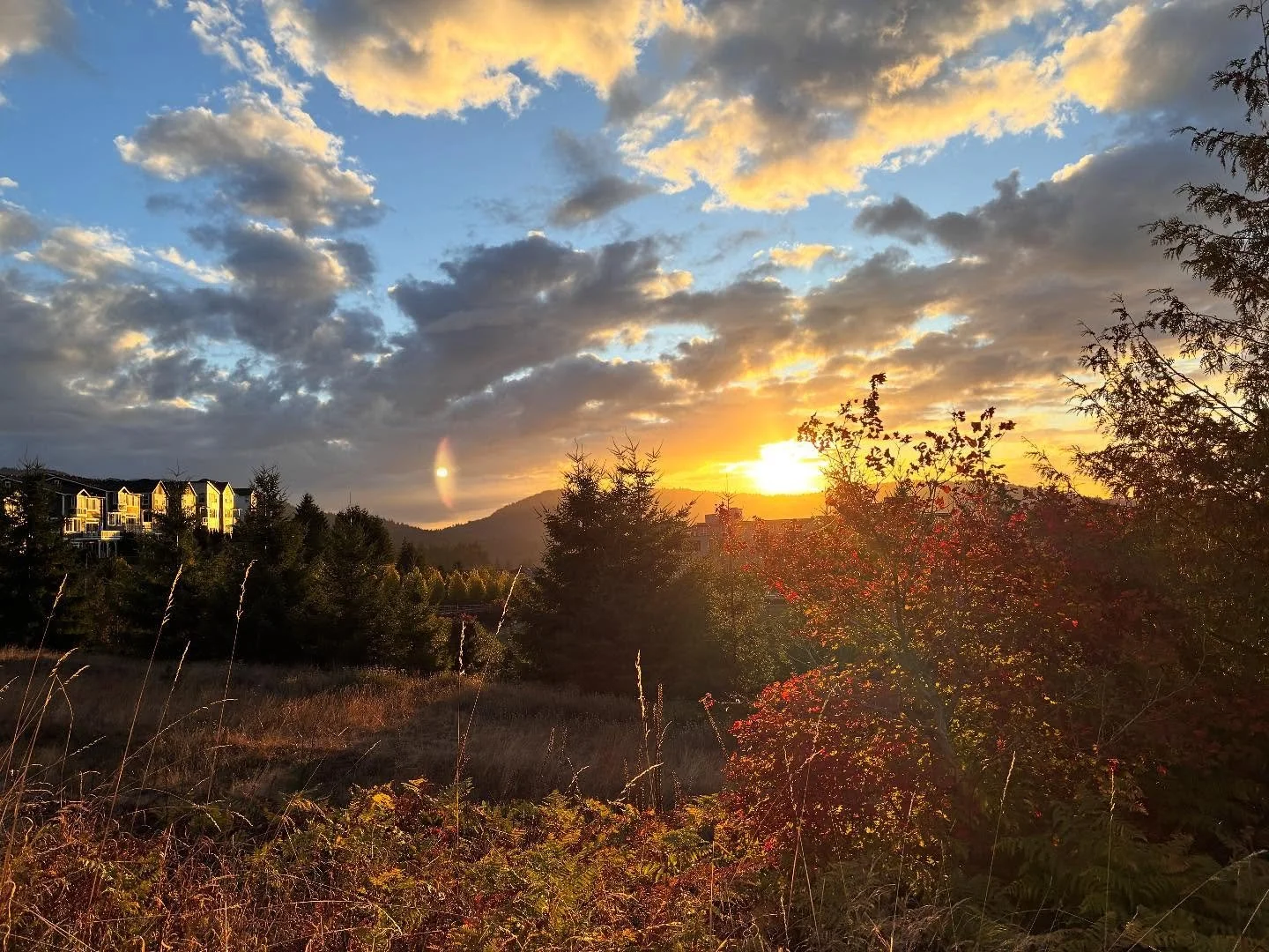 After almost three years of living (and teaching remotely) from a thick of woods on a peninsula, this past spring I moved to a place where I can walk to see the sun set each evening and I now teach in a (high school!!) classroom every day (with a com