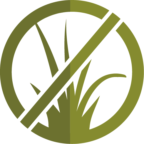 weeds3.png
