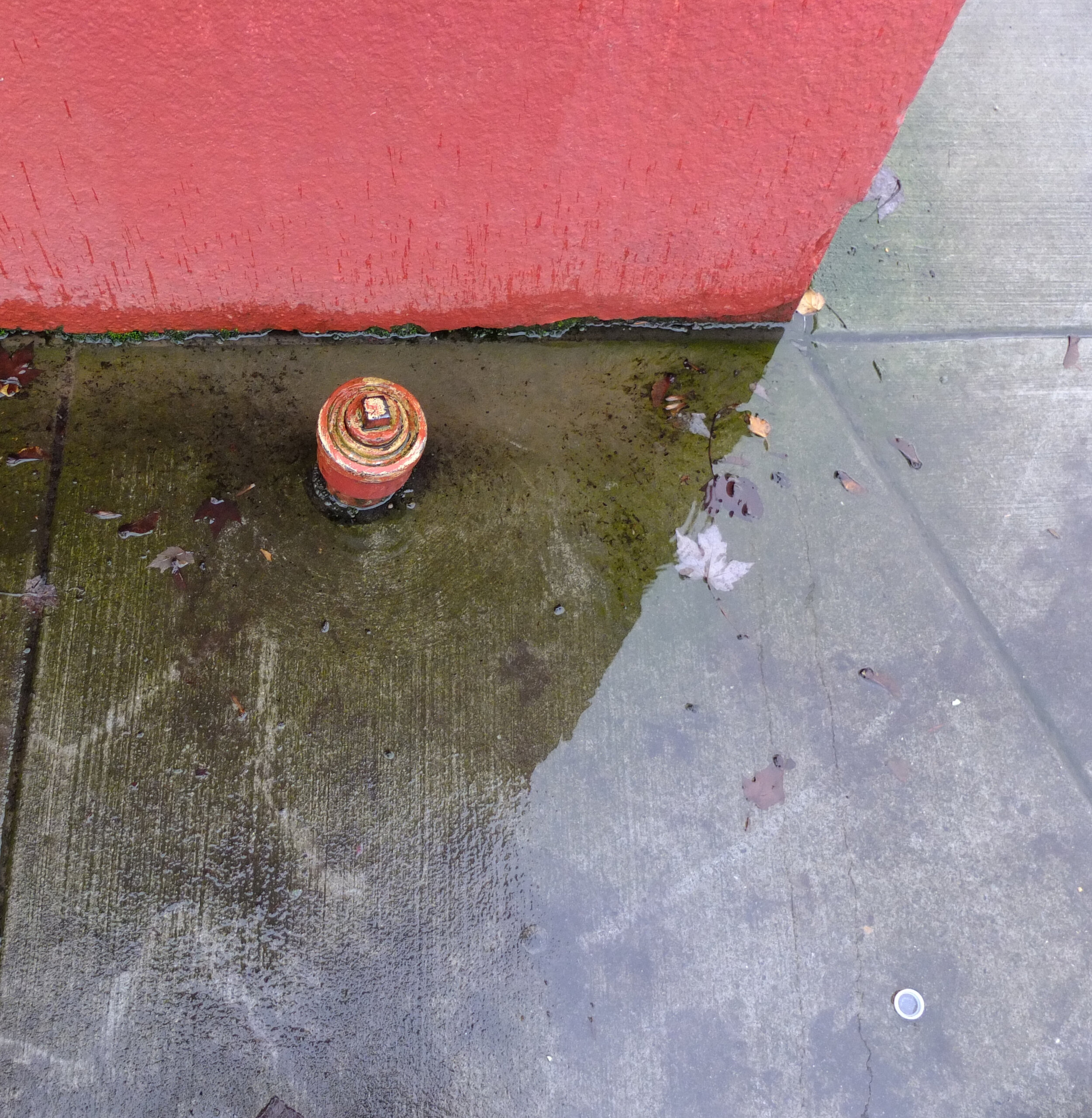 DSCF5710.JPG