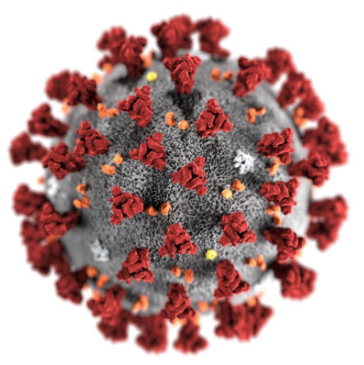 How to Get a COVID-19 Diagnostic or Antibody Test in NH