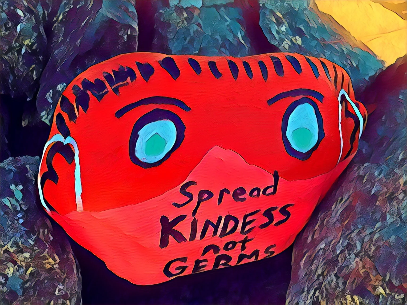 N.H Daily Coronavirus Update—November 2020