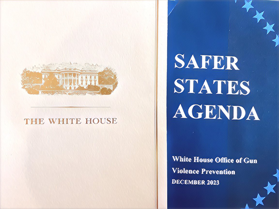 Finally…Meaningful Help from Washington to Reduce Gun Violence