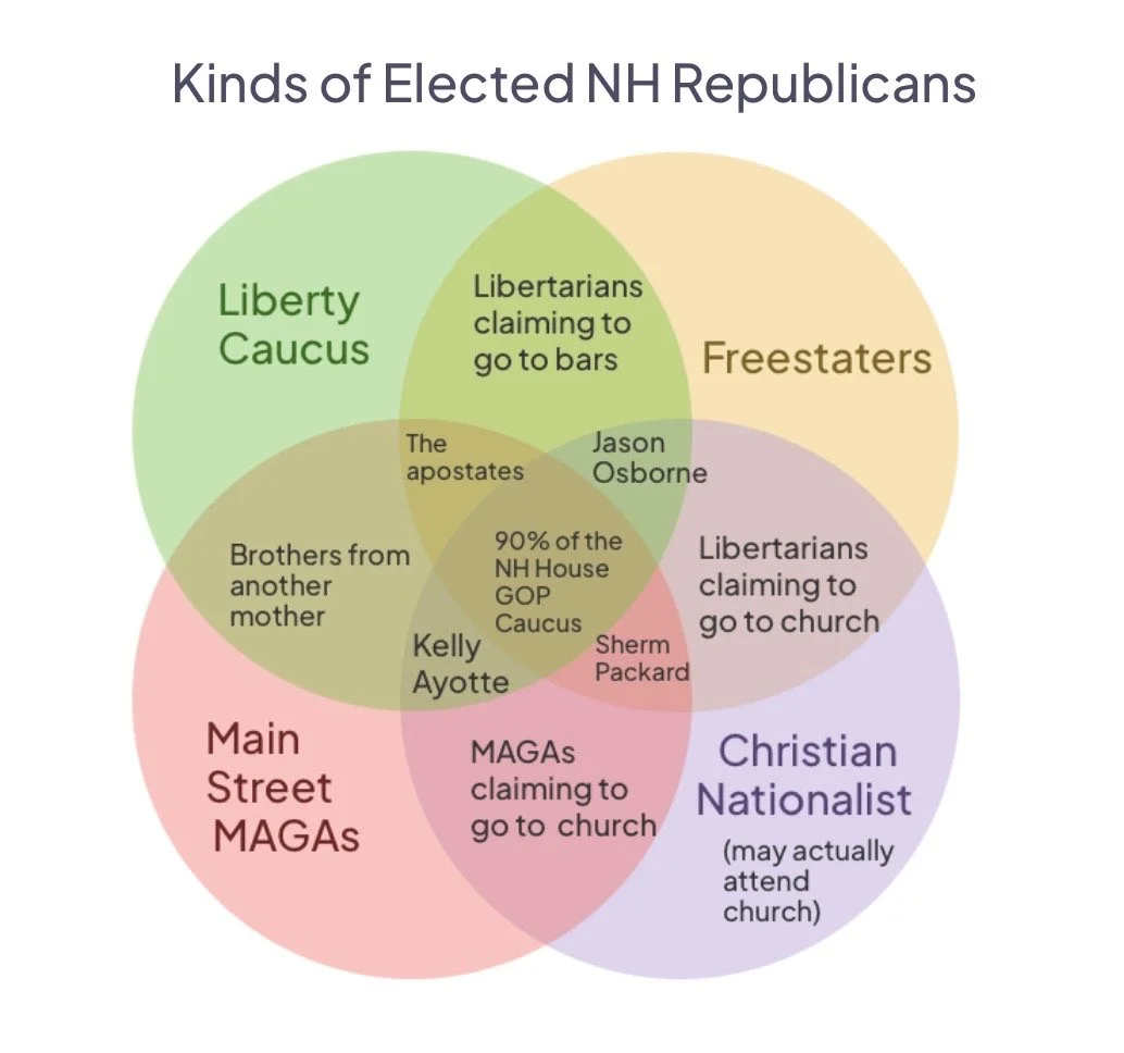 A NH Politics Primer: Understanding Elected Republicans