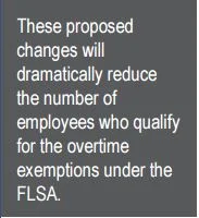 FLSA1