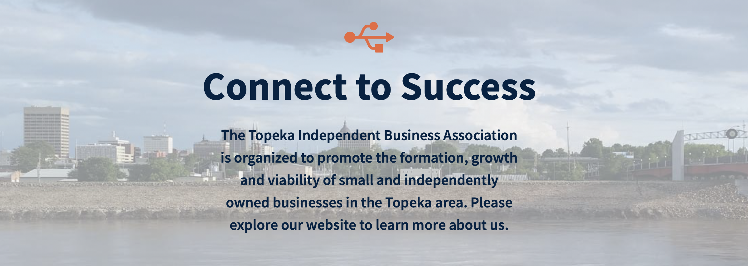 TIBA 2019 Annual Small Business Climate Survey Summary Results