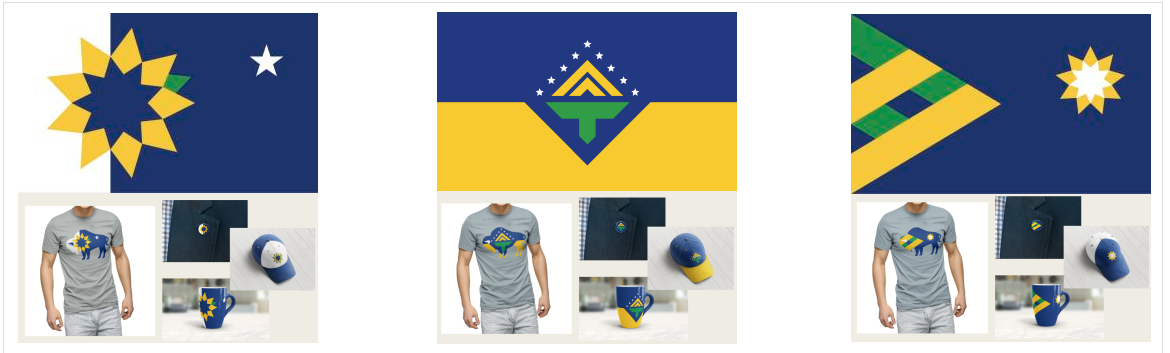 CITY OF TOPEKA FLAG INITIATIVE