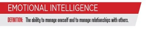 Emotional Intelligence &amp; Political Savvy