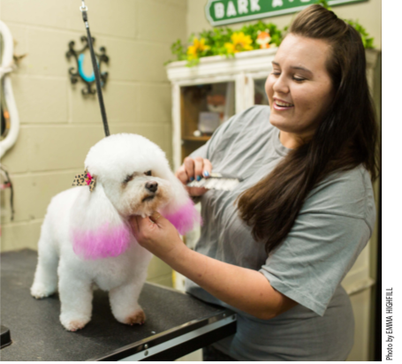 Placing little homemade bows on dogs' ears after grooming created a surge in referrals and quickly turnedBark Avenue Salon into a profitable business.