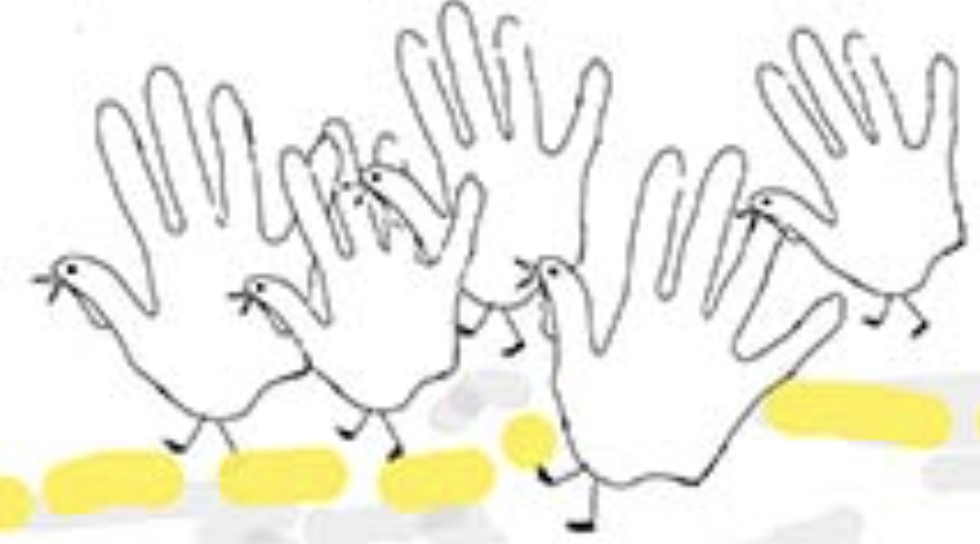 Culture lessons from a turkey wrangler