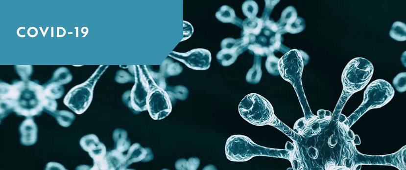 Coronavirus: What Should Your Business Be Doing to Comply with the Law and Take Advantage of Stimulus Dollars?