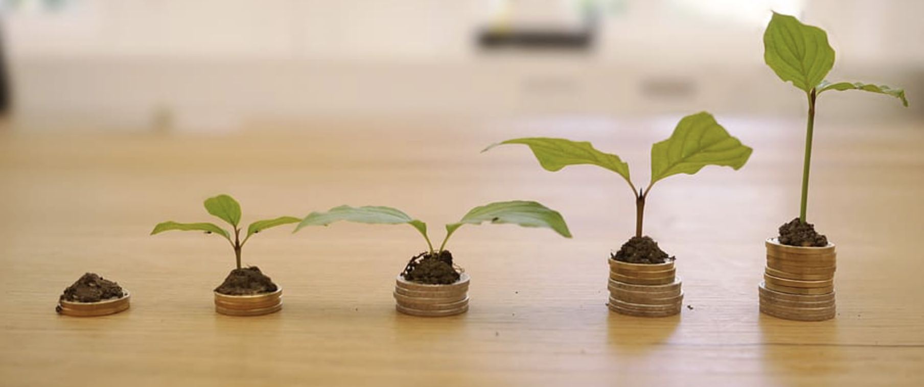 Tips for Investing in a Volatile Market