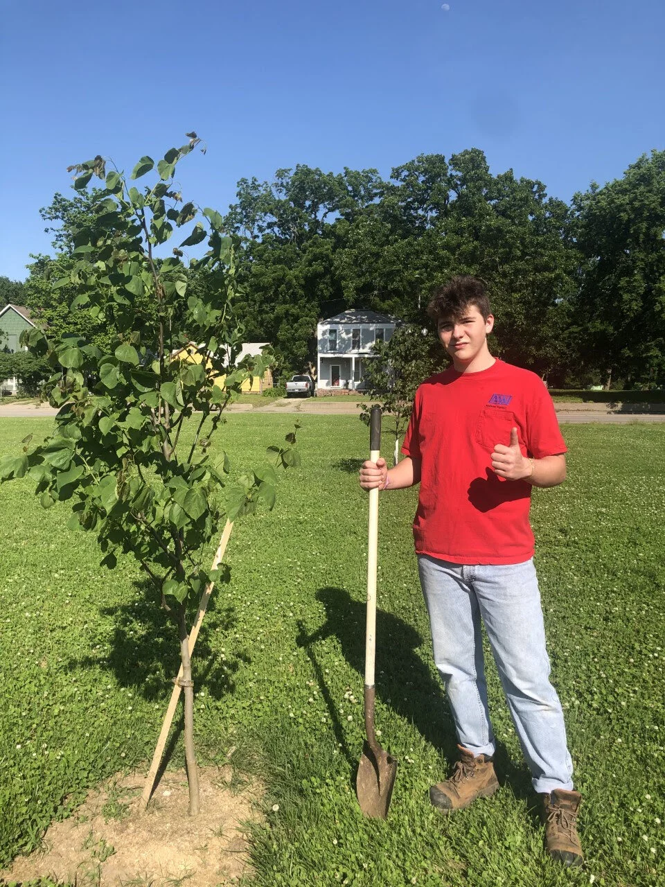  Eagle Scout plants 35 Redbud trees in NOTO