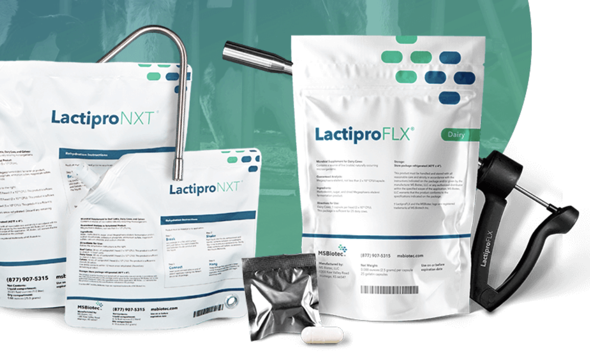 Screen Shot 2020-09-09 at 11.40.10 AM.png