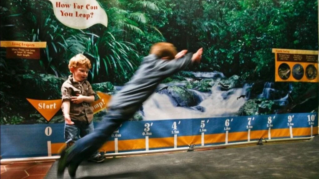 Rainforest Adventure at the Library