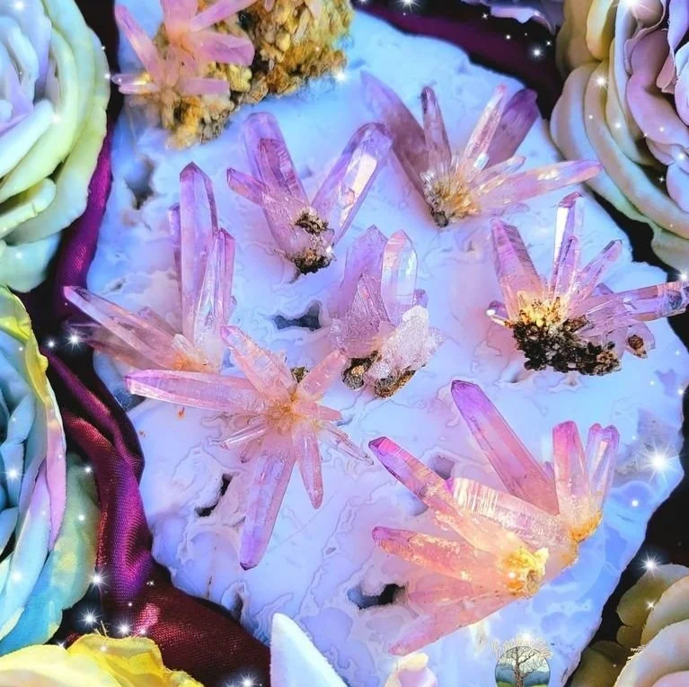 Enchanting Earth Announces Ribbon Cutting