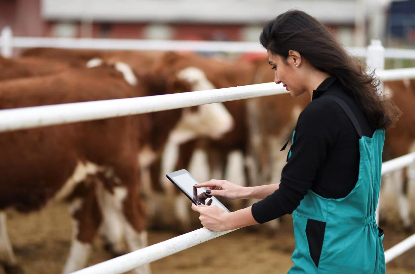 Plug and Play Topeka spurs partnership between Cargill, StenCo
