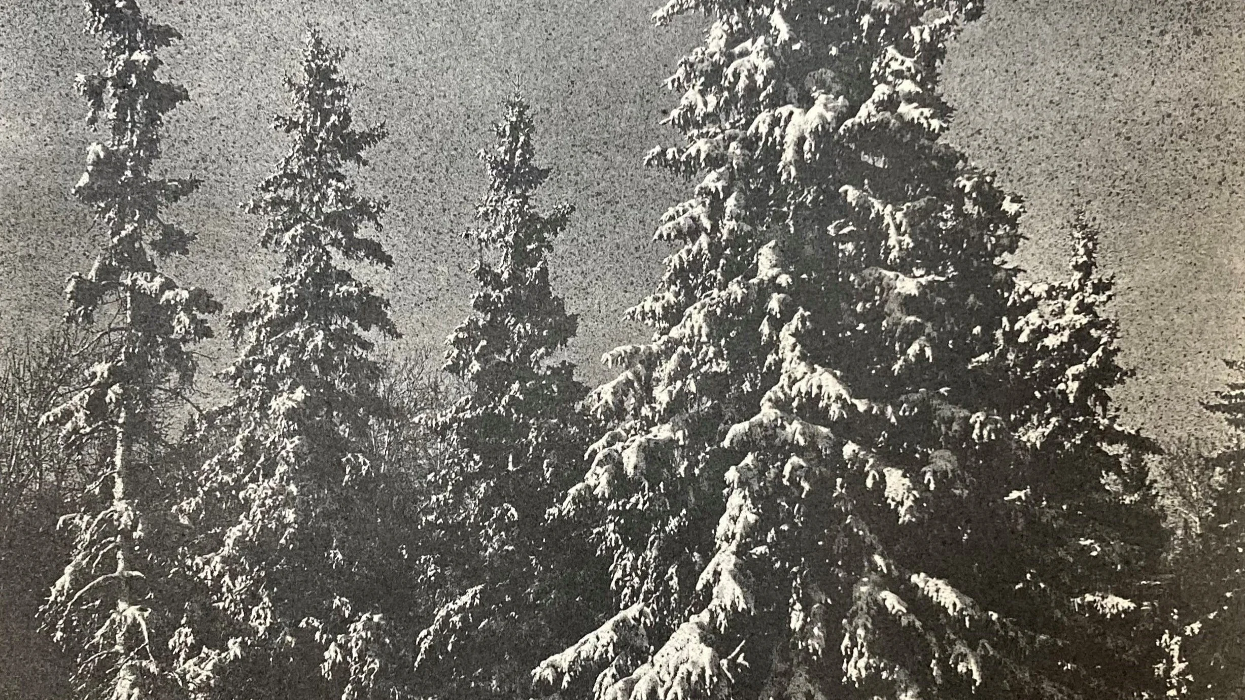 Mulvane Art Museum: New Exhibitions Open for Spring 2023