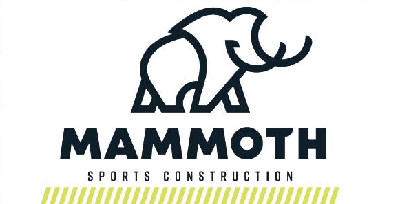 Mammoth Wins Competitive Process to Supply Services to Public Entities 