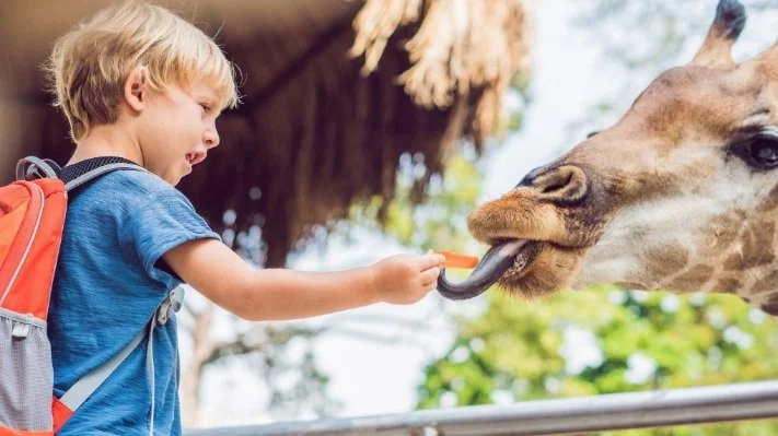Topeka Zoo Turns the Page on 2022, Keeps Momentum in 2023.