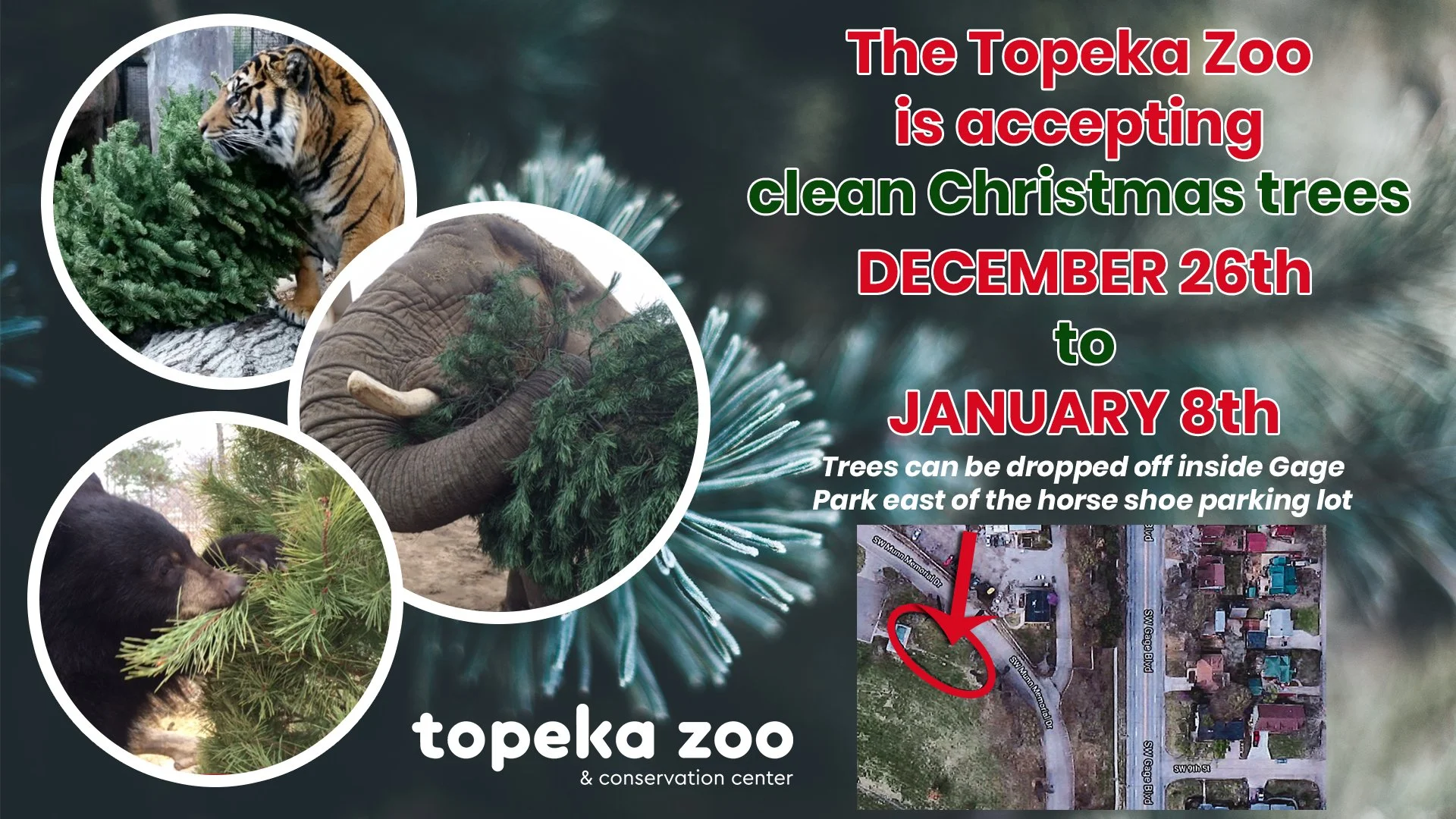 The Topeka Zoo and Conservation Center Announces a Post Holiday Tree Recycling Program