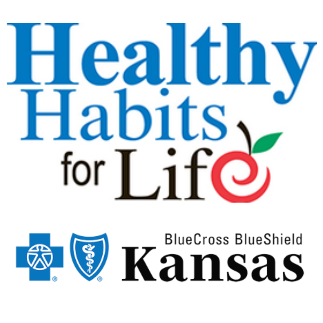 Blue Cross and Blue Shield of Kansas Foundation improving students