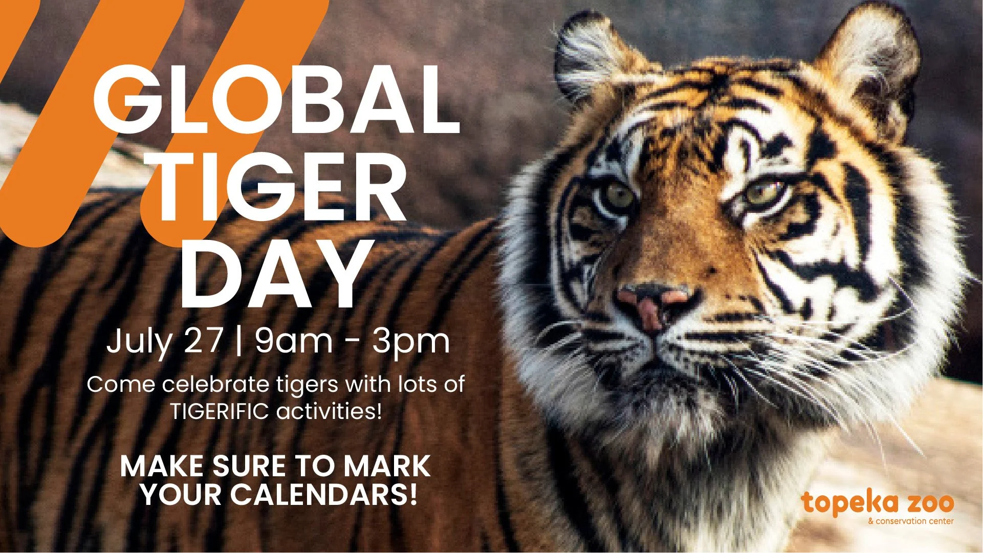 Celebrate Global Tiger Day at the Topeka Zoo: Join Us  on July 27th!