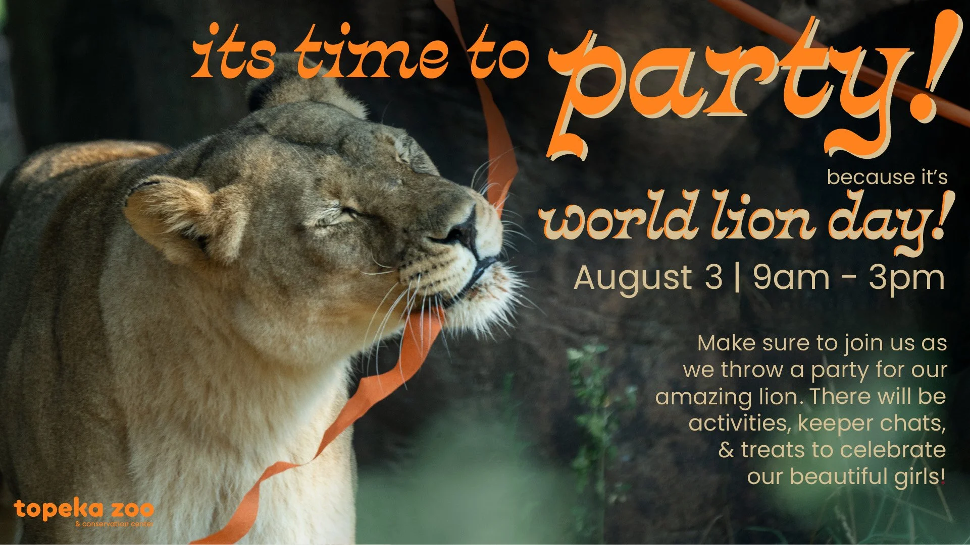 Topeka Zoo to Celebrate World Lion Day
