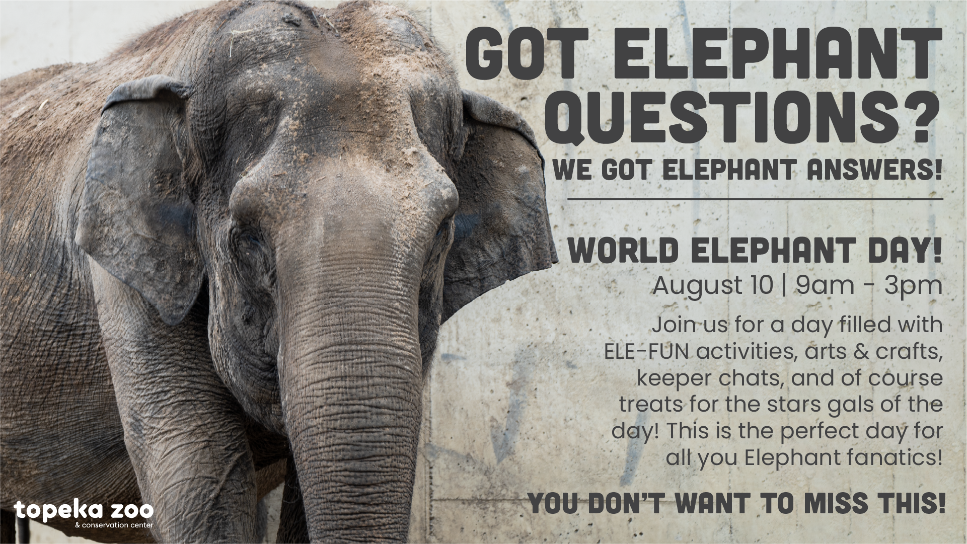 Celebrate World Elephant Day at the Topeka Zoo