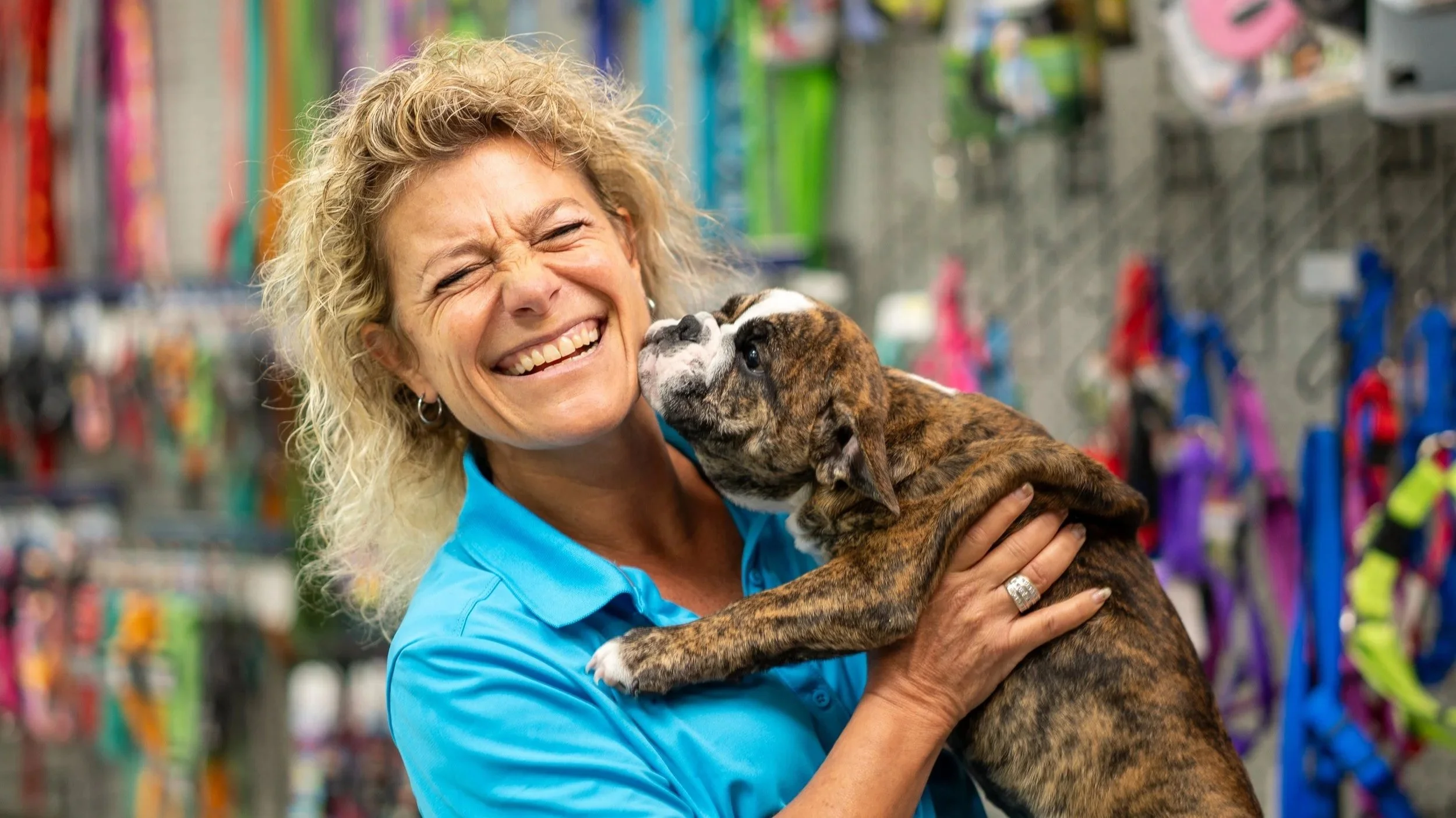 Old Dog, New Tricks: Petland