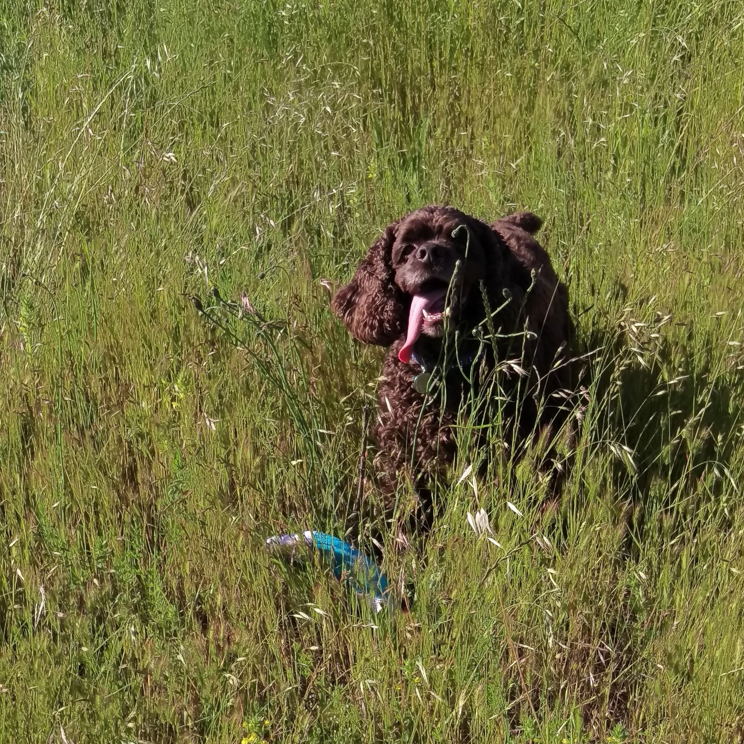 Outdoor+Becks.jpg