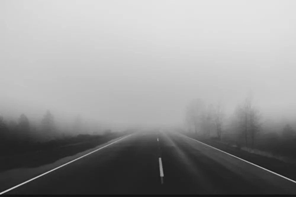 The Widow Fog