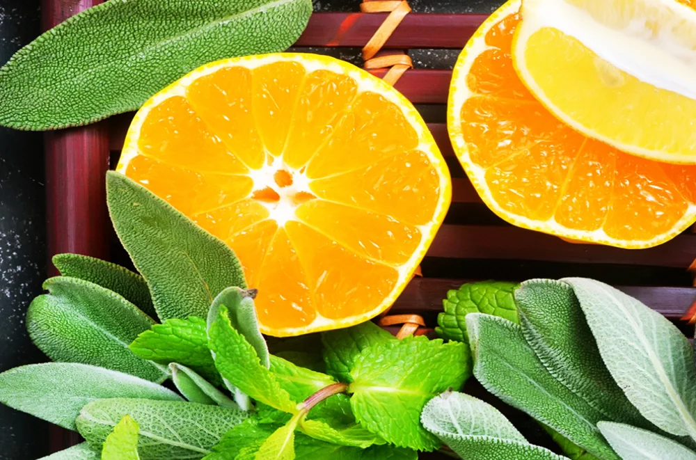 Citrus.jpg