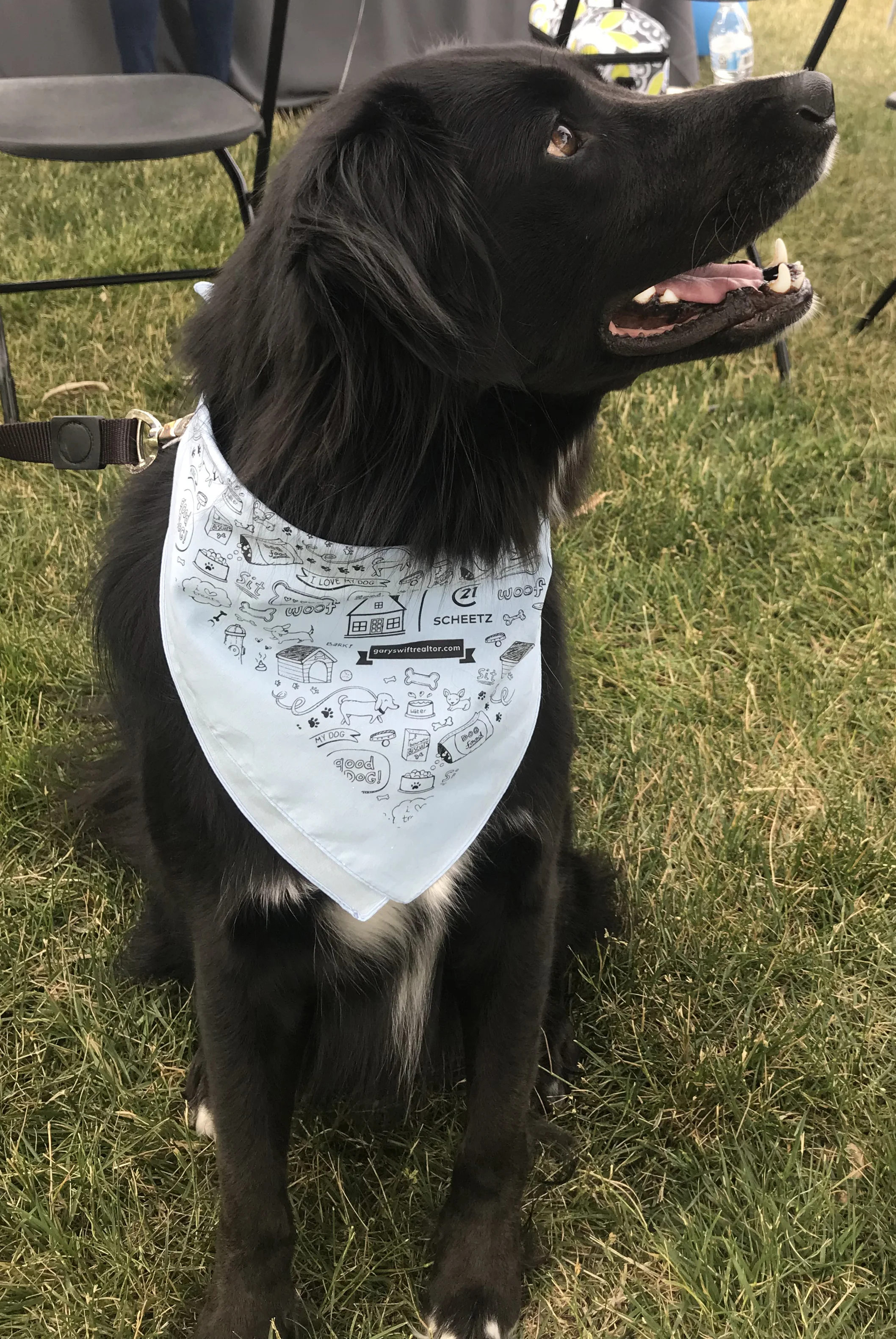 oakley NEW copy.jpg
