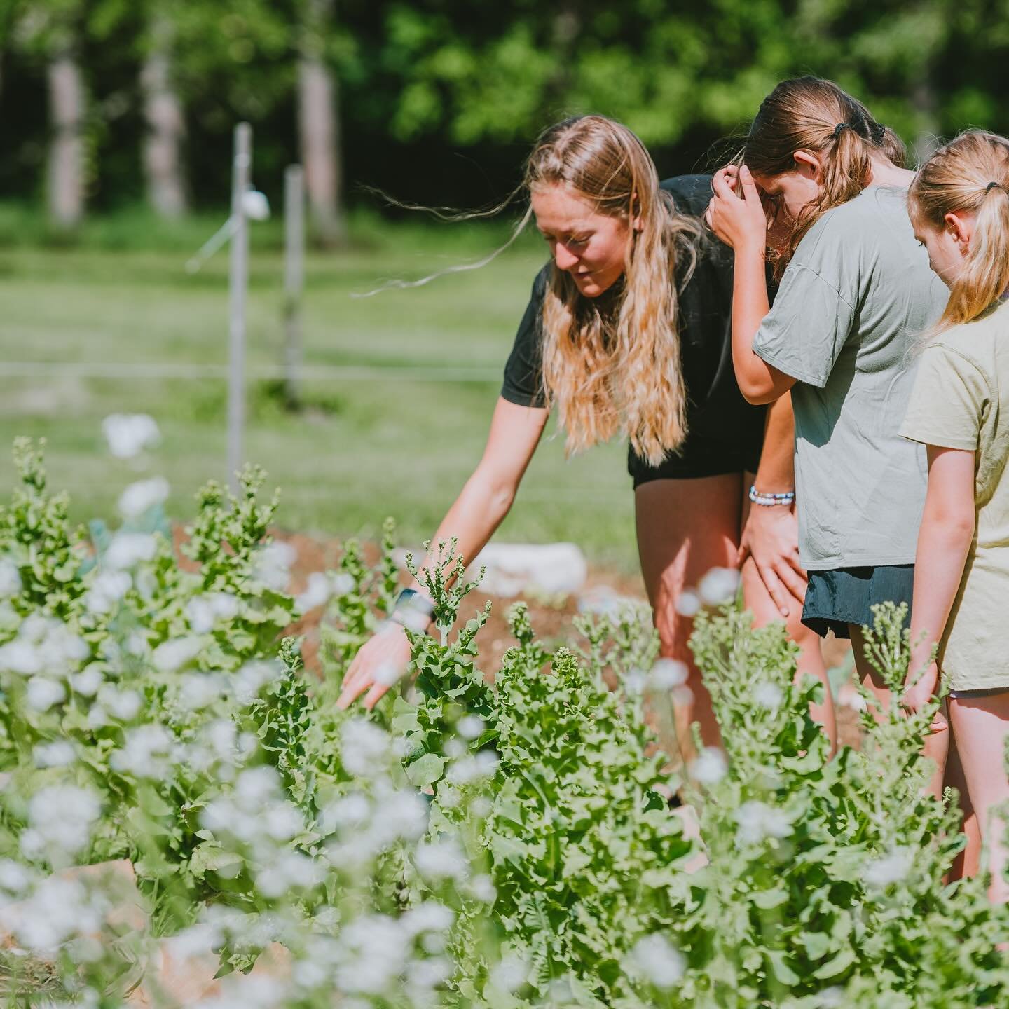 We&rsquo;re hiring a Chef/Gardener for this upcoming summer 🌱

Think: days outside immersed in fruit, veggie, flower, and herb gardens &mdash; working creatively with kids, making delicious food, and gaining hands-on leadership experience.

☀️ Visit