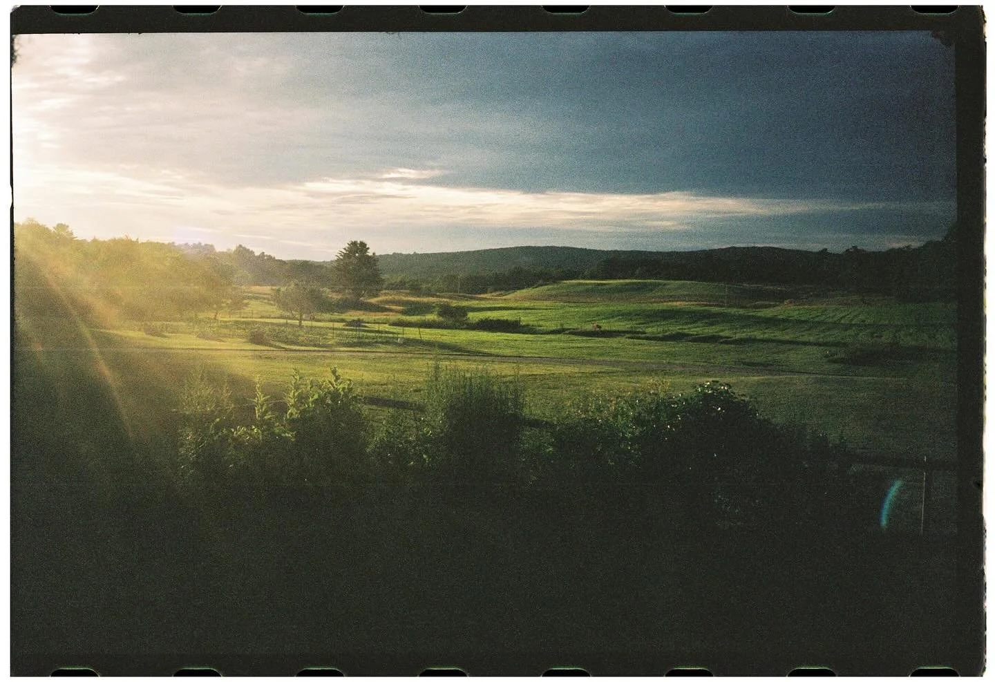 At camp, every child has their own mailbox. It might seem like a small thing, but those little slots hold so much magic 💫

&mdash; letters from family, jokes from friends, camp dinner &amp; dance party invites, thank you notes, affirmations &amp; li