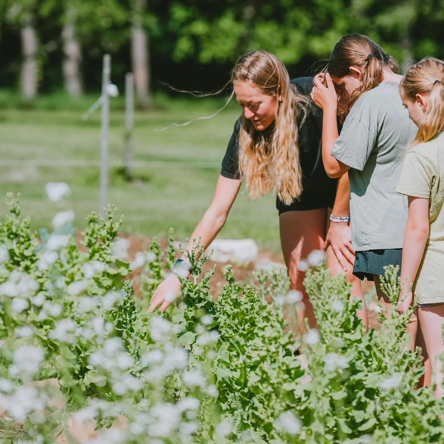 We&rsquo;re hiring a Chef/Gardener for this upcoming summer 🌱

Think: days outside immersed in fruit, veggie, flower, and herb gardens &mdash; working creatively with kids, making delicious food, and gaining hands-on leadership experience.

☀️ Visit