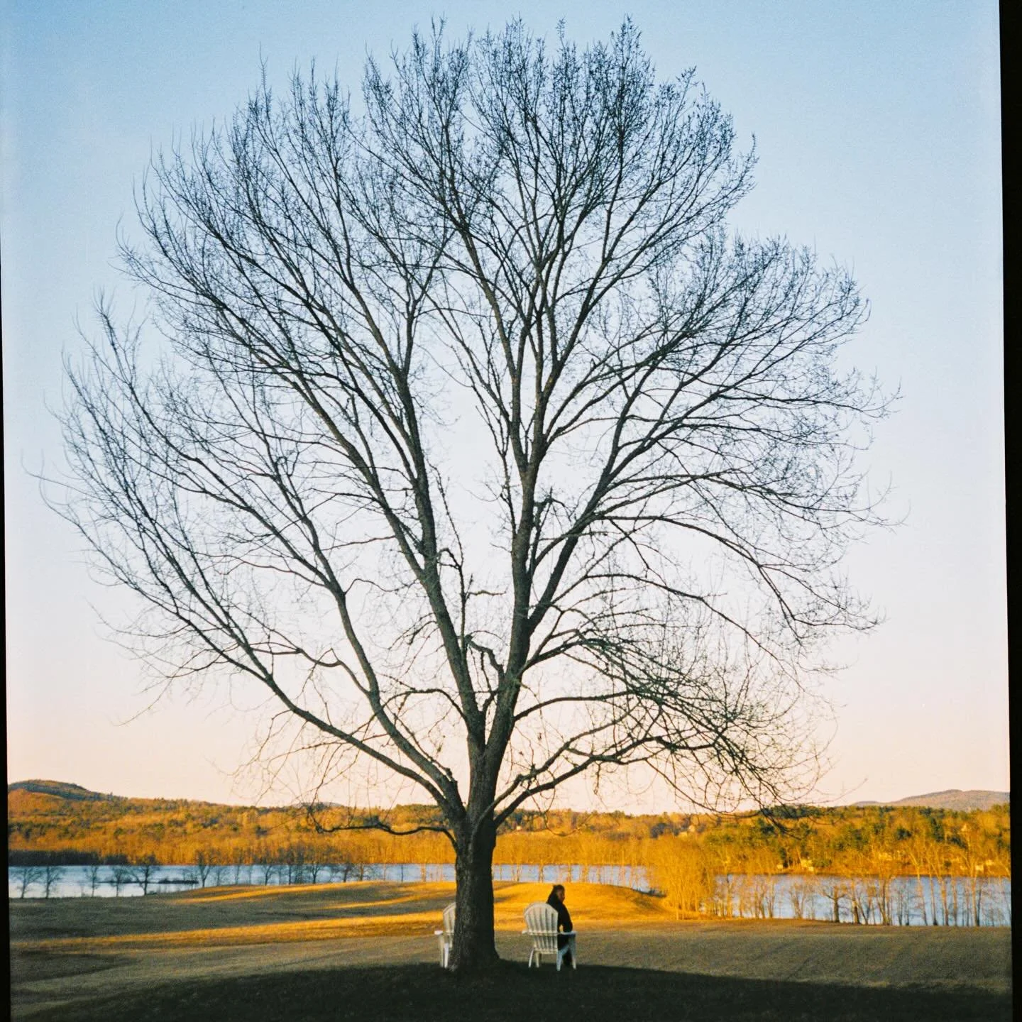 recent film scenes of our favorite tree at camp ✨ 

it doesn&rsquo;t look like much at the moment, but in a few weeks&hellip; wildflowers will be everywhere, just waiting to be made into flower crowns 🌼

the bobolinks and meadowlarks will be nesting