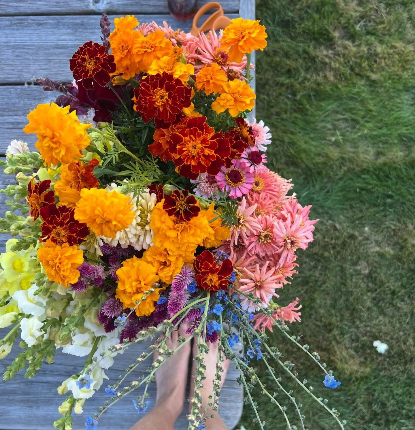🌱 it&rsquo;s spring at the farm! these flowers are from last summer, but on this cold gray day they are a nice reminder of what&rsquo;s to come 🌻 just over 60 days until campers arrive!

it hailed on Monday, the peas and spinach went into the groun