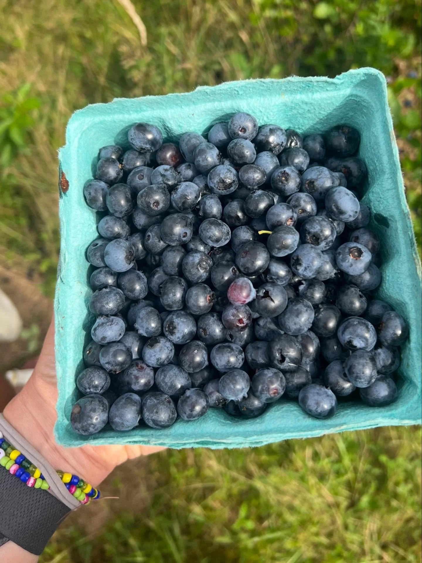 One of the unique parts about Growing Routes camp is our approach to meals &hearts;️

We focus on simple, delicious food made mostly from scratch 🌱 Our Chef/Gardener, Emily, prepares our meals fresh each day using whole, nutritious ingredients and s