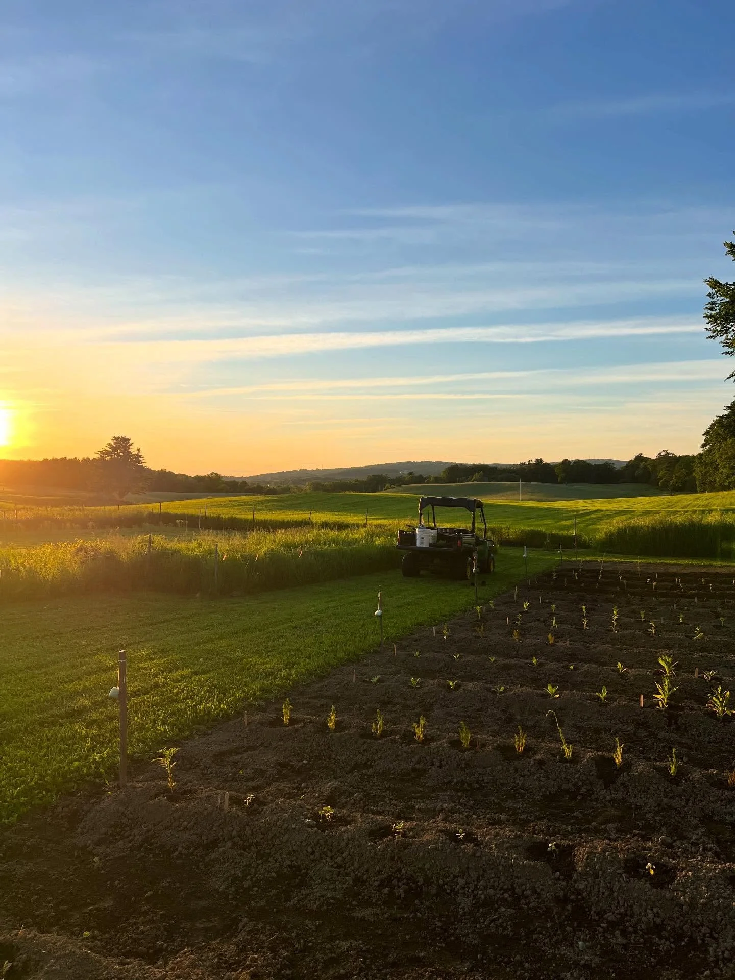 some sweet moments recently as we prepare to welcome campers to the farm 💫