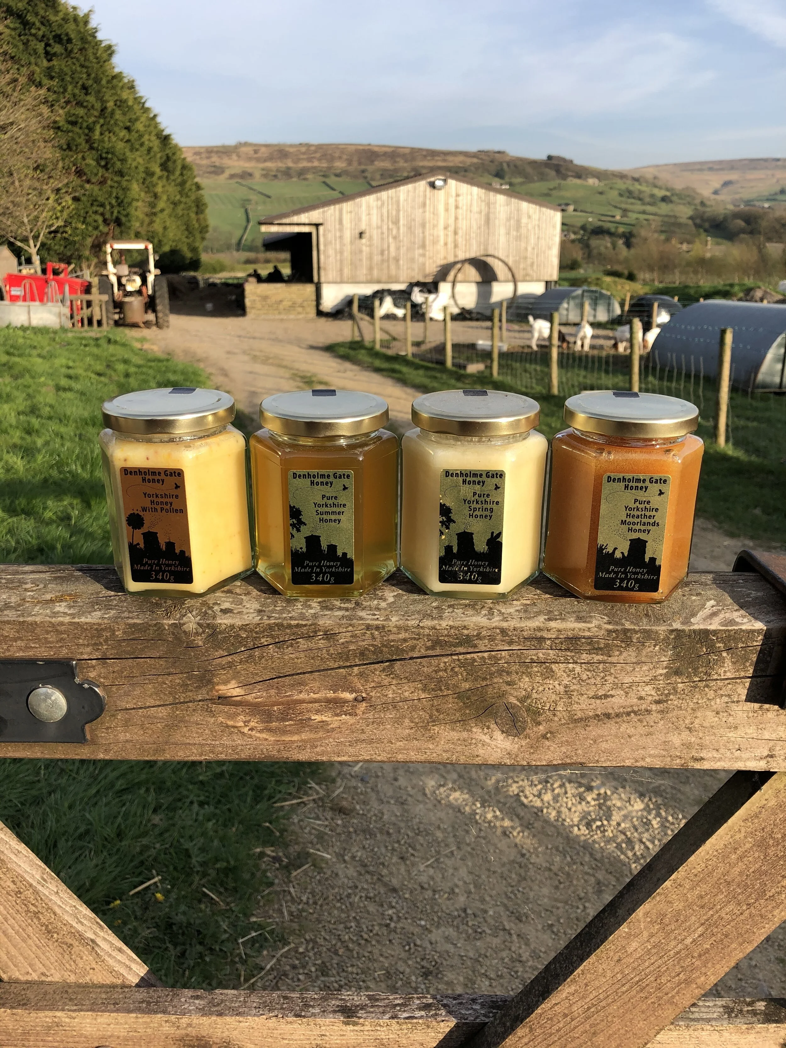 C0B79C72-C082-43A1-AD69-5893E2C0B39F