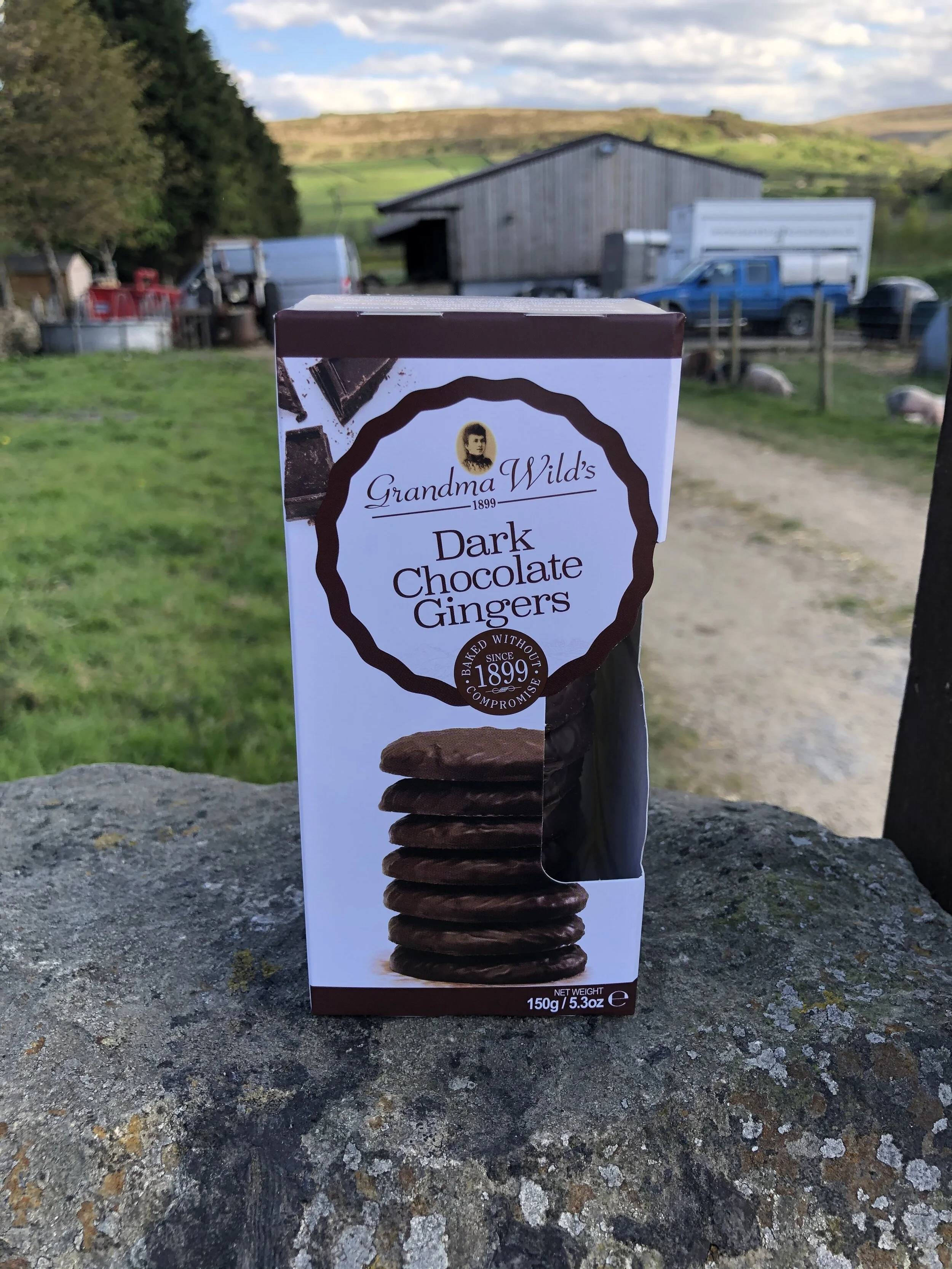 F60C6C5D-C50A-4F16-B52B-AA3D2FDADF5B