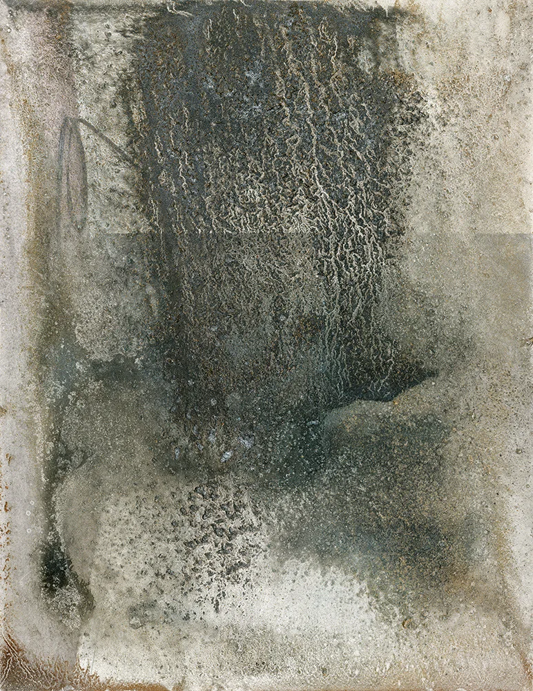 Accumulatus (LvRm_w_Cable_Cords) pigmented print on Hahnemühle Photo Rag paper, 42 x 32”, 2016