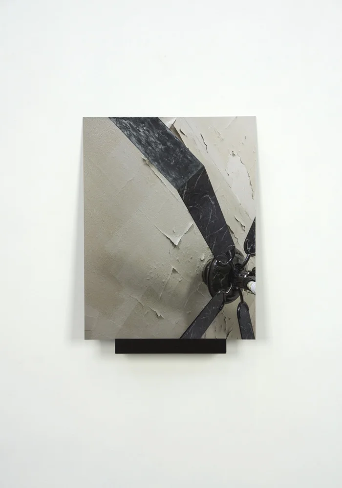 Geometria Concretus (14-19), pigment print mounted on aluminum, bronze powder, acrylic binder, wood, cast polyurethane, hardware, 2014: panel: 22 x17”, shelf: 3 x 11 x 3”