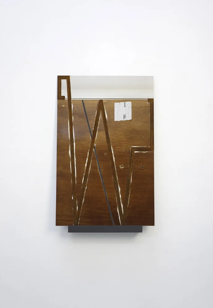 Geometria Concretus (12-48), pigment print mounted on aluminum, steel powder, acrylic binder, cast polyurethane, hardware, 2012, panel: 22 x 34”, shelf: 3 x 16 x 3”