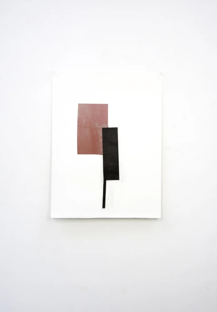 Anima et Cutis (12-D-18), 30 x 22”, Fabriano 640 gsm paper, pigment print, steel powder, matt medium, wax, 2012