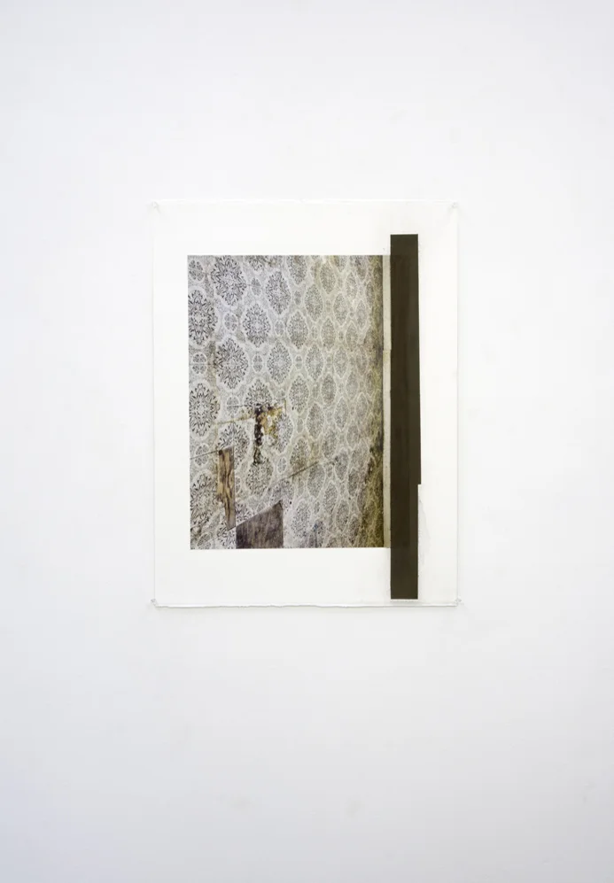 Anima et Cutis (12-D-26), 30 x 22”, Fabriano 640 gsm paper, pigment print, gouache, steel powder, 2012