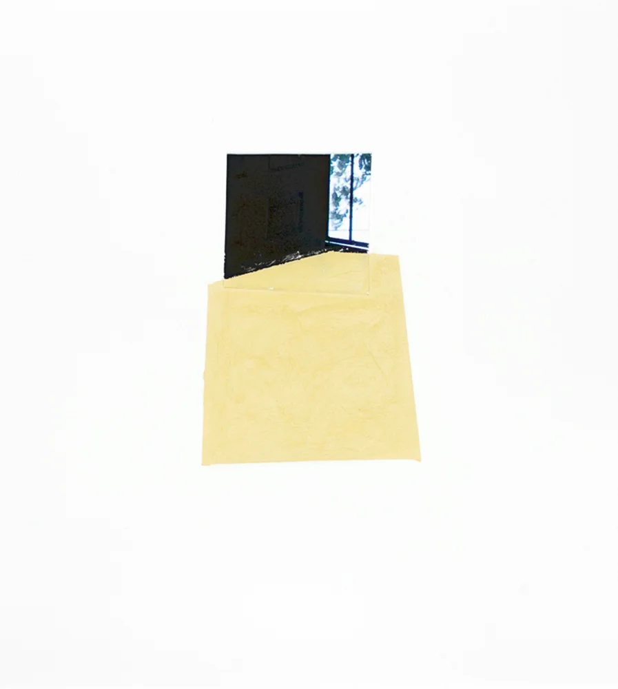 Vesania Brevis (10-D-89), 11” x 14”, gouache and photograph fragment on paper, 2010