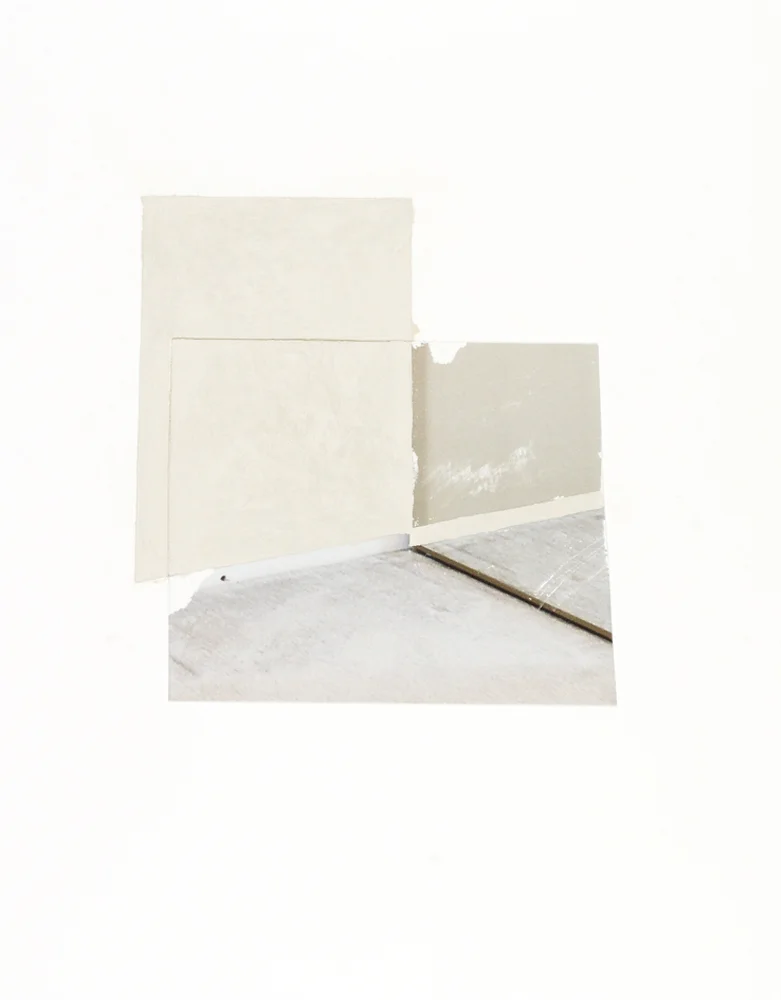 Vesania Brevis (10-D-50), 11” x 14”, gouache and photograph fragment on paper, 2010