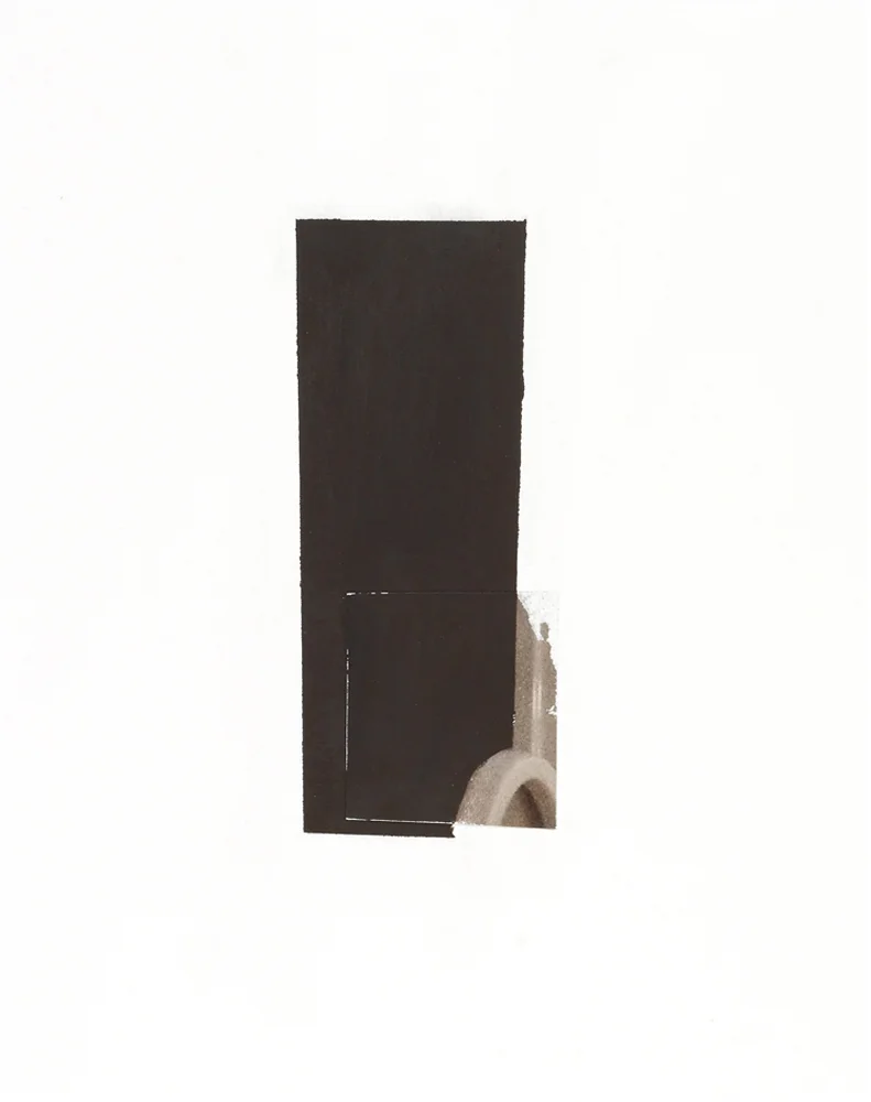 Vesania Brevis (10-D-51), 11” x 14”, gouache and photograph fragment on paper, 2010